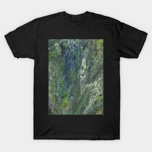 Algae Covered Rock T-Shirt